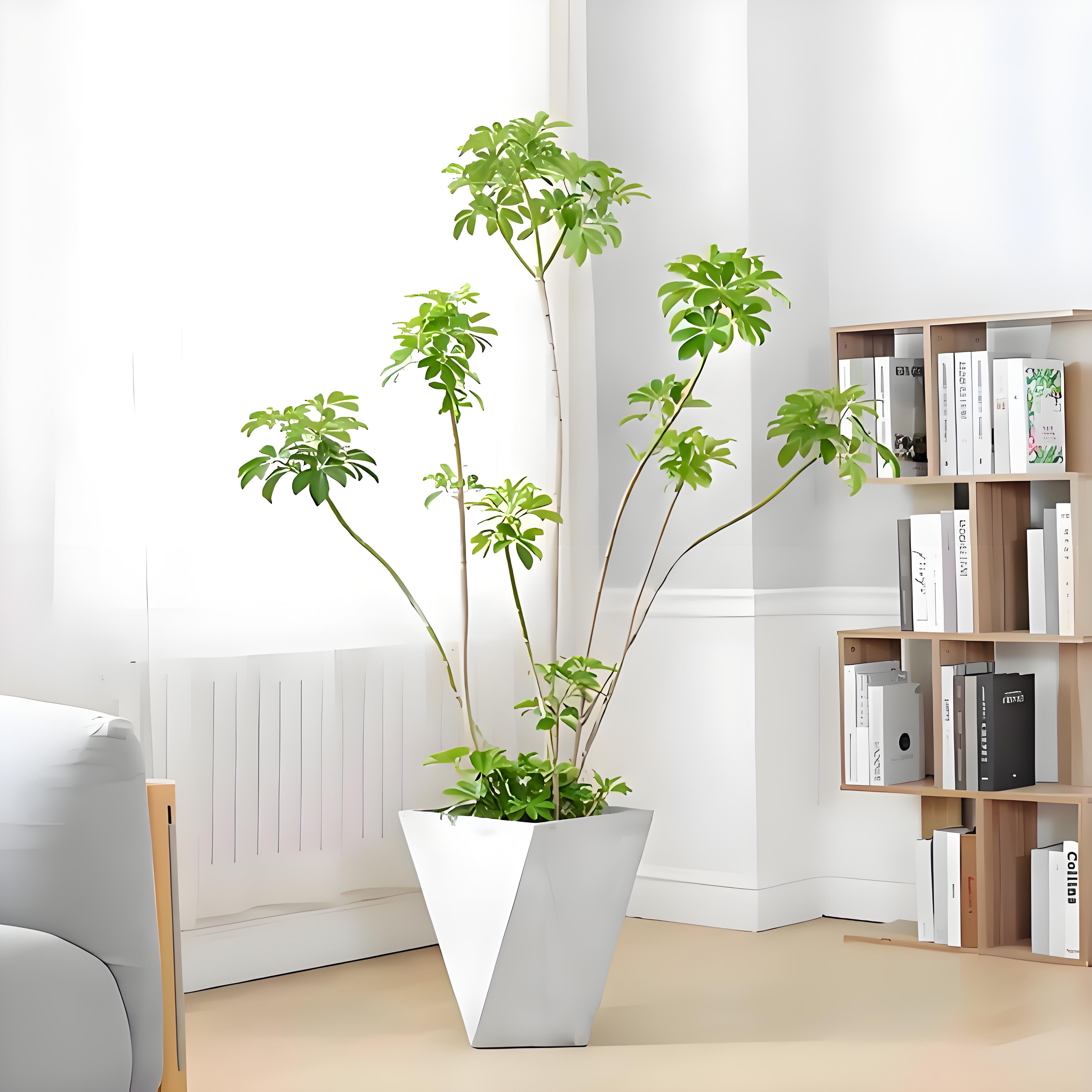 宁波奉化盆景租赁方案，满足你对绿植的多样渴望！